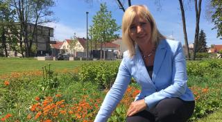 Grünes Herz für Pfaffenhofen an der Ilm Gartenschau eröffnet am 24. Mai