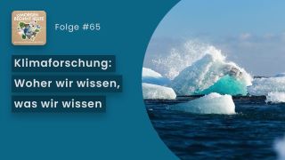 Vorschaubild des Videos - Eisberge im Meer