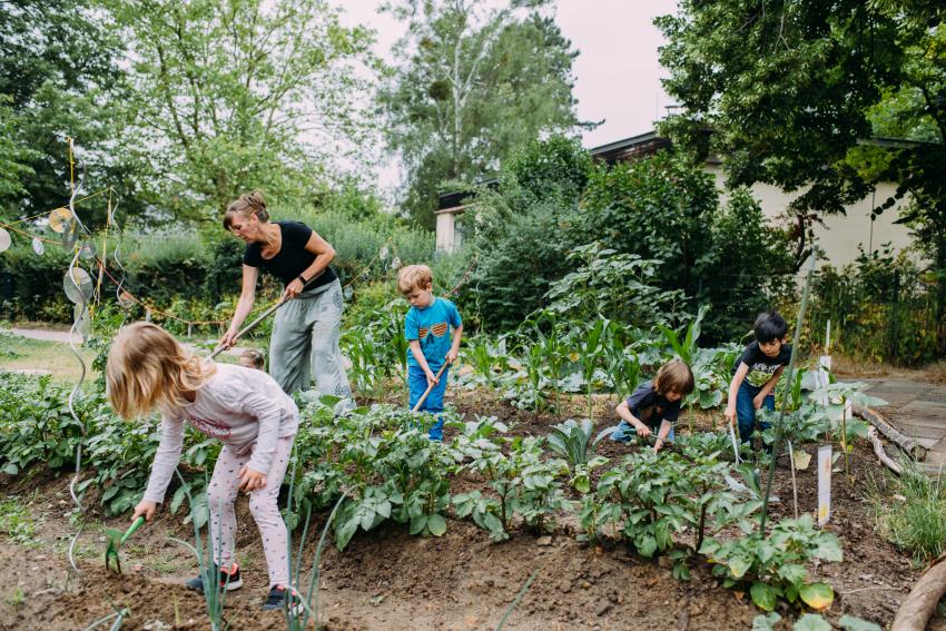 Kindergartenkinder bei Gärtnern auf dem Acker Foto: Nadine Stenzel