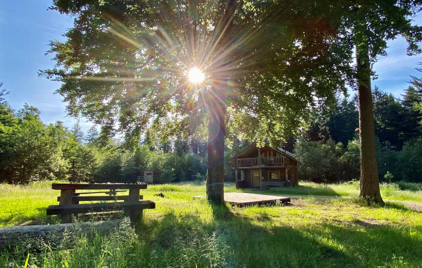 Pulswinkelhütte im Sommer