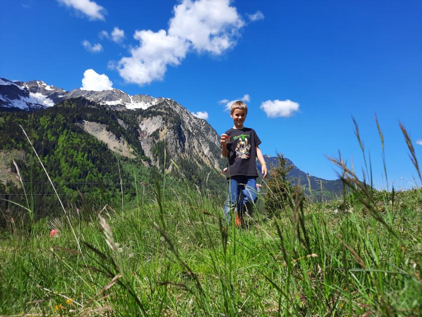 LBV Umweltbildung / BNE in den Allgäuer Alpen -  Junge auf der Bergwiese Foto: Schirutschke Monika