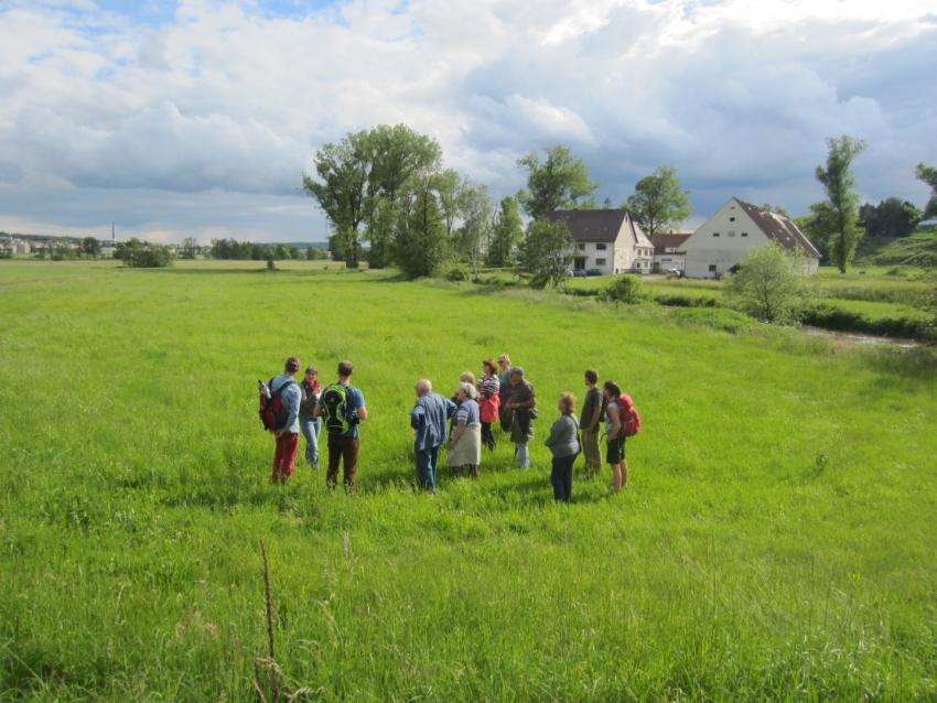 Kräuterführung (Foto: Umweltzentrum Schmuttertal)