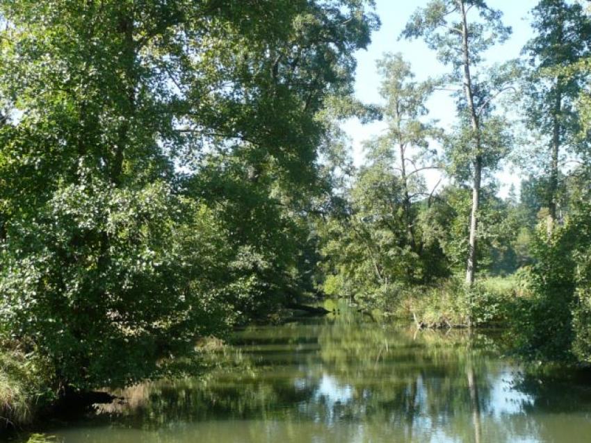 Der Fluss Schmutter (Foto: Umweltzentrum Schmuttertal)