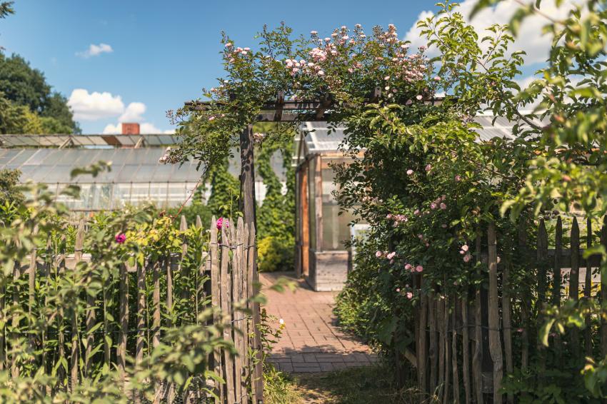 Garten, Foto: Umweltstation Abtei Waldsassen