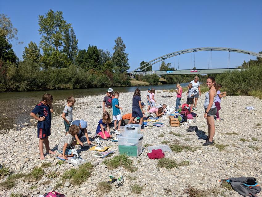 Untersuchung von Wasserlebewesen in der Ammer Foto: Hermann Maria