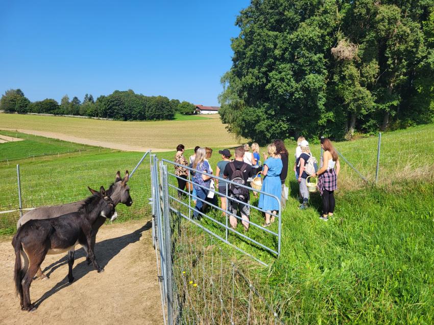 Sogar die Esel hören bei den Kräuterwanderungen auf dem Langohrenhof interessiert zu! 
Foto: Daniela Riesinger