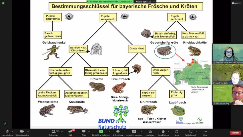 online-Artenkennerreihe Bildschirmansicht, Autorin: Melanie Hahn