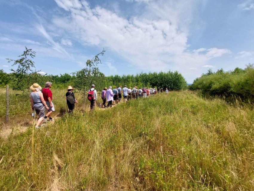 Führung zum Thema Agroforst
Foto: Ronja Rohlig