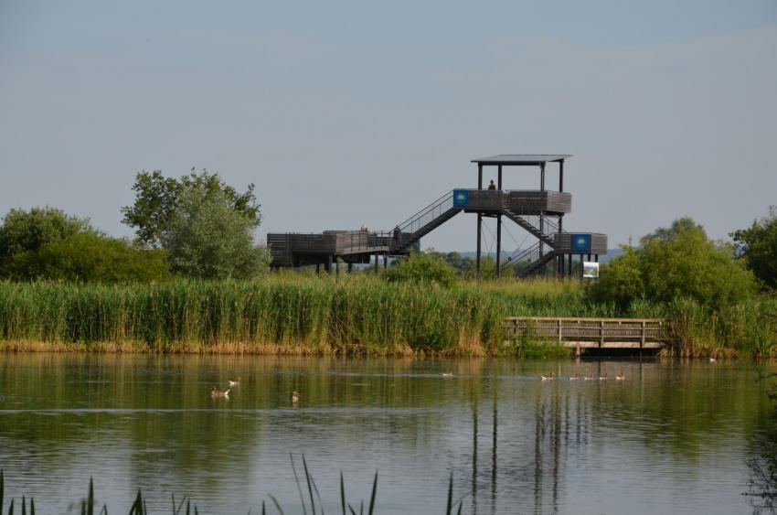 Blick auf Vogelinselturm