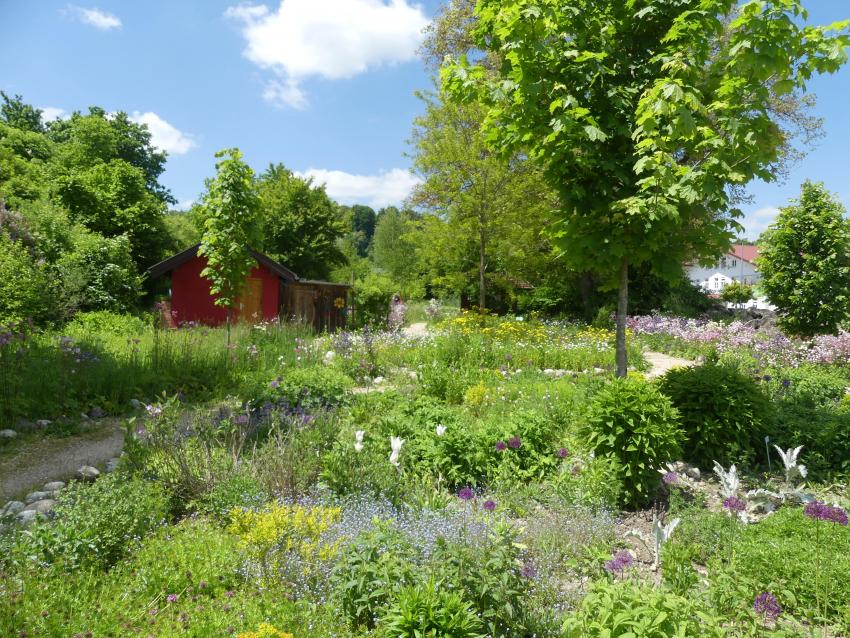 Blick über Nektargarten