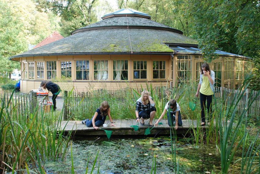 Teich erforschen Foto: Anke Schlehufer