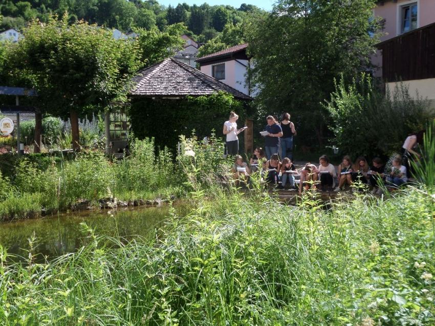 Am Teich im Biotopgarten