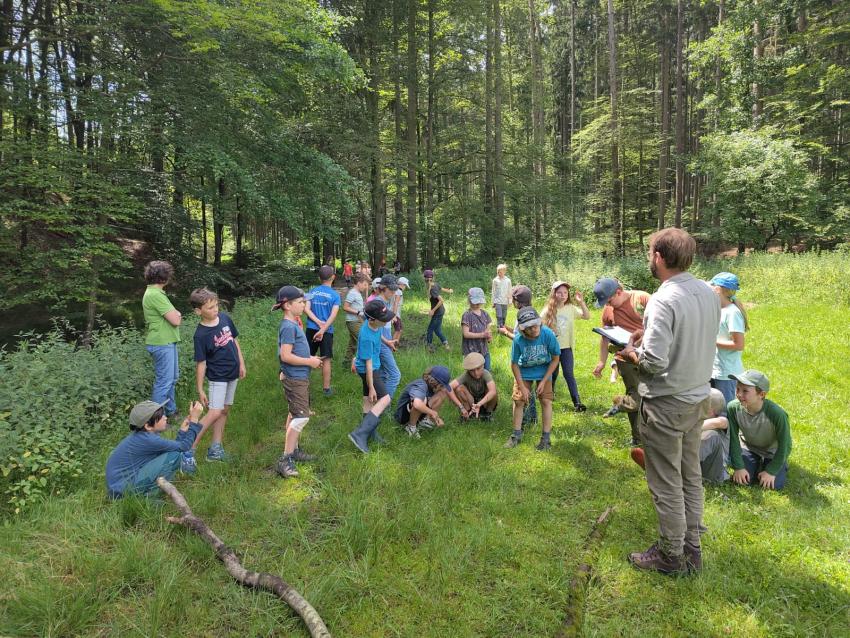 Übernachtung im Wald