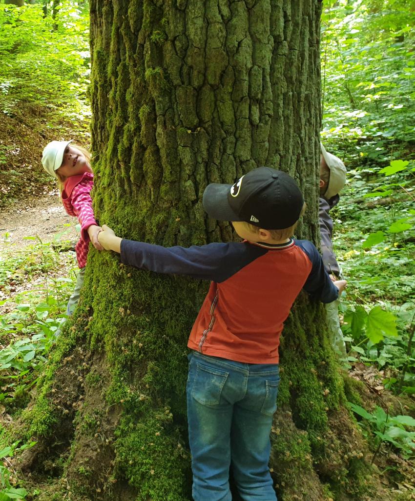 Baum und Kinder Foto: Martina Alsheimer