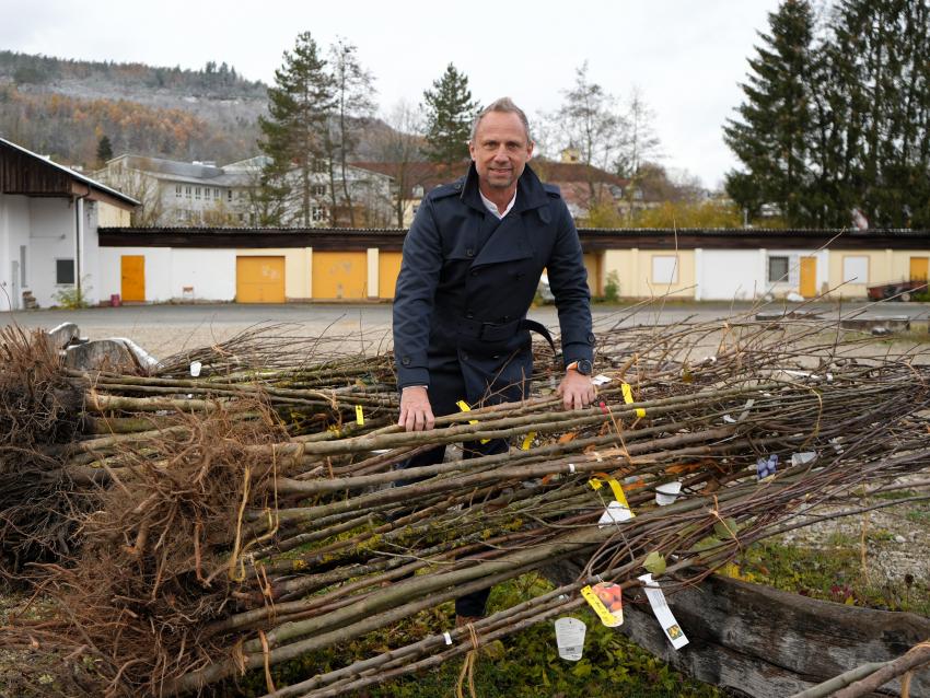 Bild vergrössert sich per Mausklick - >Termin - Streuobstbäume für Oberfranken