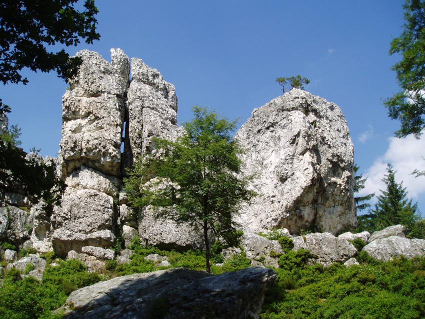 Großer Pfahl Viechtach