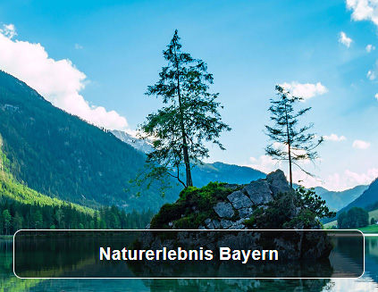 Externer Link zur Website Naturerlebnis Bayern