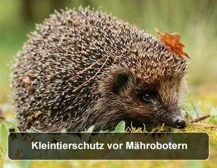 Kleintierschutz vor Mährobotern