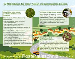 Posterausschnitt