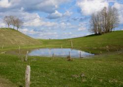 Ein kleiner runder Teich liegt umgebem von Hügeln im Grünland.