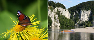 Ballett und Wildnis