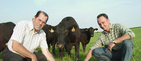 Veterinärwesen: gesundheitlichen Verbraucherschutz